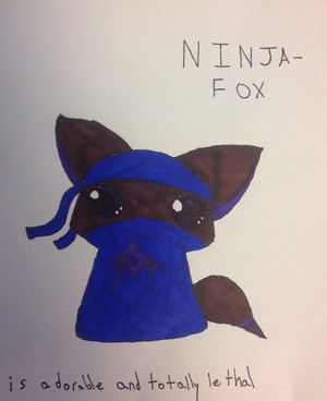 Ninja Fox!