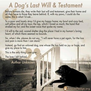  Please Read: A Dog's Will