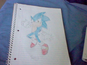  Sonic The Hegdehog