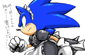 Sonic The... Maid?!