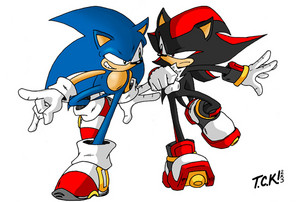 Sonic .vs. Shadow: Racing