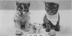 Tea Time For Kittens
