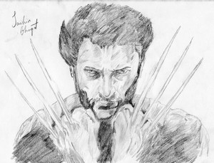  The Wolverine Sketch