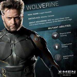  Wolverine X-men: Days of Future Past Dossier