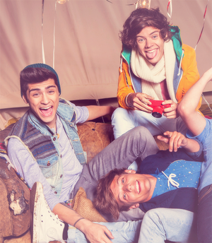  Zayn,Louis and Harry