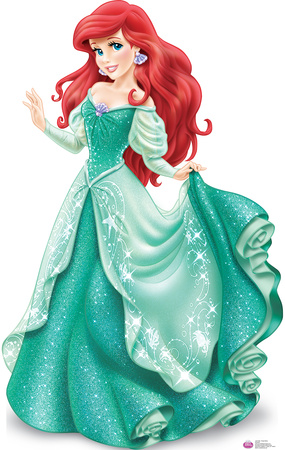 Disney princess arial
