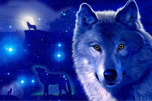  i l’amour Wolfe