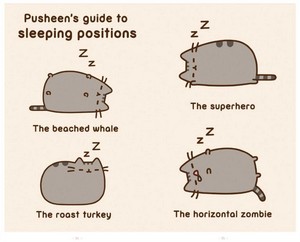  pusheen guide to sleeping postions