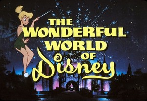  "The Wonderful World Of Disney" Logo