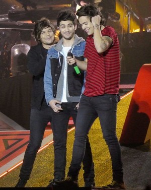  Zouis and Harry