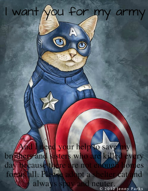  Captain America Cat