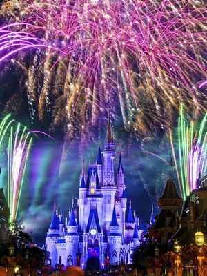  Cinderella's castle!!!!!!!