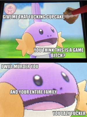 Don't Mess with Mudkip