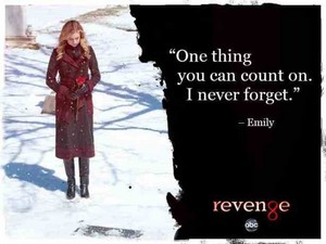  Emily quote