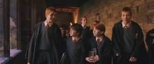  Fred, George, Ron and Harry