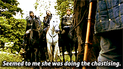  Jaime and Brienne - If the actual book citations were in the montrer