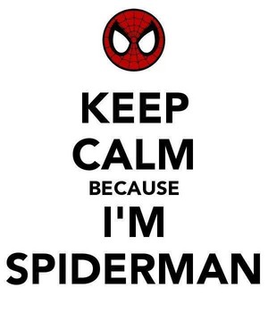  KEEP CALM Because I'm Spider-Man