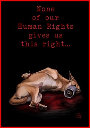  None of our Human Rights...
