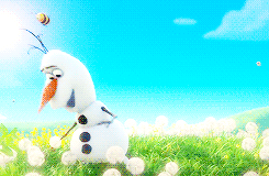  Olaf in Summer