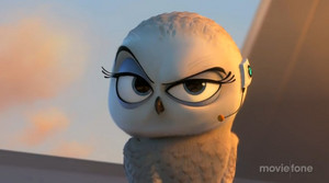 Owl from Pom movie