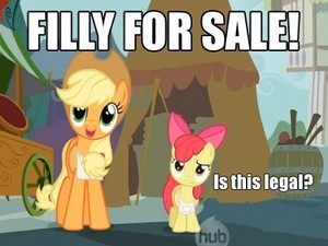  Ponies and Captions