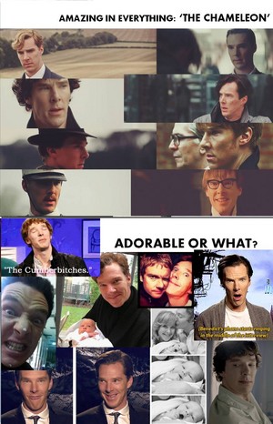  Reasons Why I Find Benedict Cumberbatch Attractive