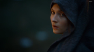  Sansa 兜帽, 罩, 发动机罩