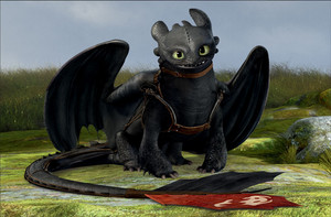  Toothless New Image