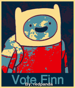  Vote Finn! :D