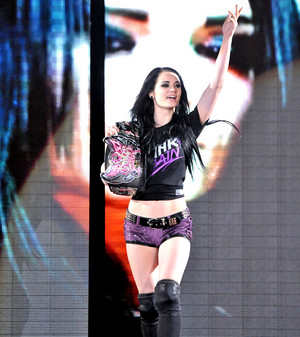  WWE Live Event 2014 - Cardiff, Wales