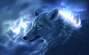  भेड़िया Spirit <3