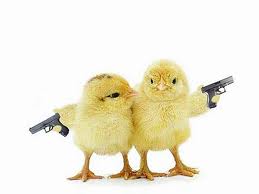 birdies with guns