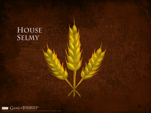  House Selmy