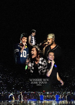  One Direction 1 Where We Are Tour ♡