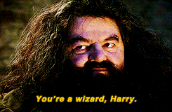  "You're a wizard, Harry."
