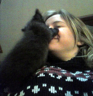  Affectionate Kitten