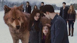  Cullens and নেকড়ে vs Volturi