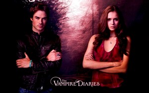  Damon n Elena wolpeyper