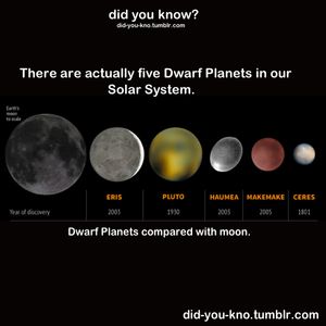  Dwarf Planets