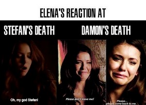  Elena's reactions