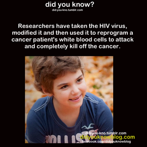  HIV Kills Cancer