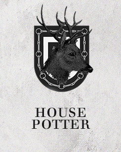  Harry Potter Houses