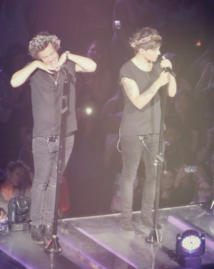  Harry being a cupcake and Louis [x]