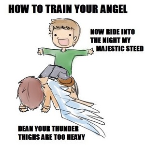  How To Train Your Angel – Jäger der Finsternis