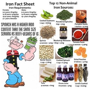  Iron Fact Sheet