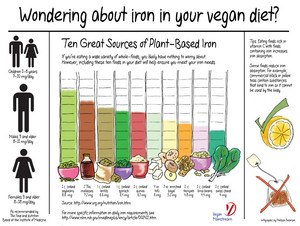  Iron in a Vegan Diet
