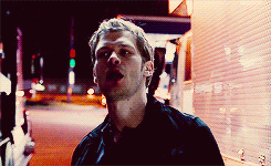 http://images6.fanpop.com/image/photos/37200000/Klaus-and-Hayley-niklaus-and-hayley-37289991-245-150.gif
