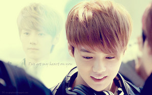  Lovely and cute Luhan♥
