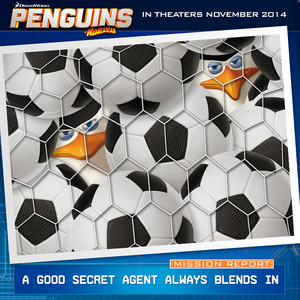  Movie Picture: Soccer
