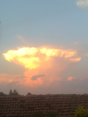  jamur awan